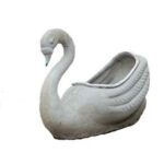 Swan