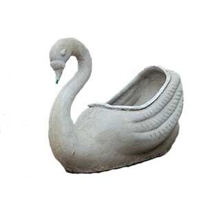 Swan